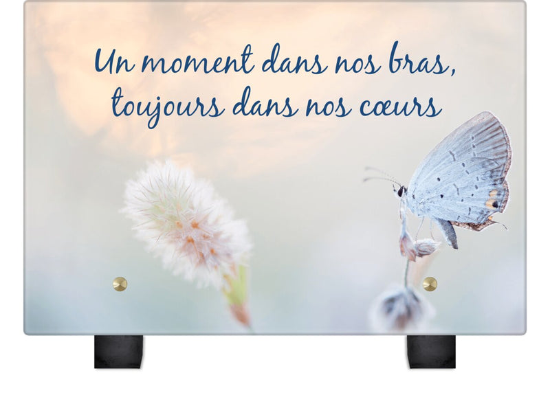 Plaque funéraire papillon-blanc 20 plapuedacaes.com
