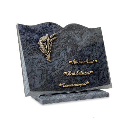 Plaque funéraire livre-sur-socle 28 plapuedacaes.com
