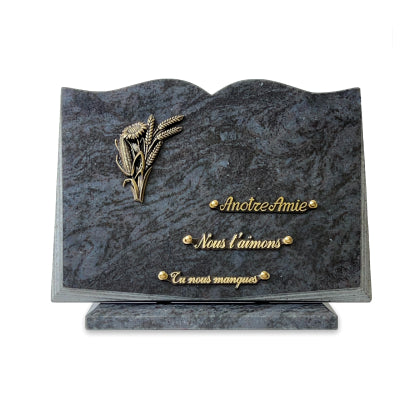 Plaque funéraire livre-sur-socle 28 plapuedacaes.com
