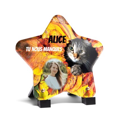 Plaque funéraire chaton-parmi-des-feuilles-forme-etoile 24 plapuedacaes.com
