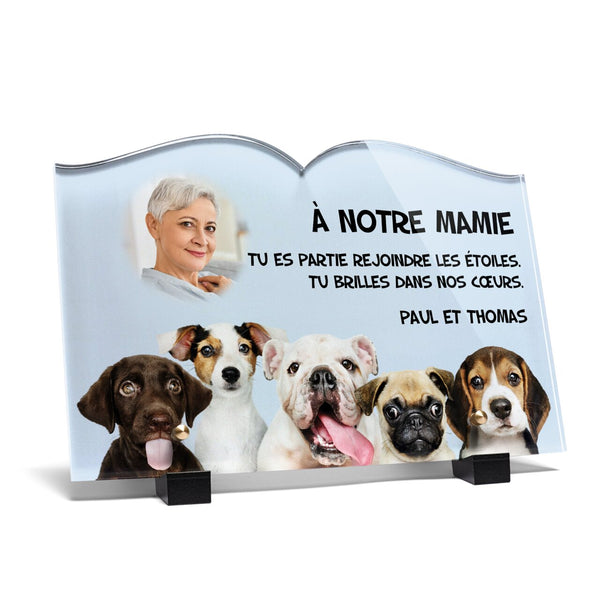 Plaque funéraire mignons-chiots-forme-livre 30 plapuedacaes.com
