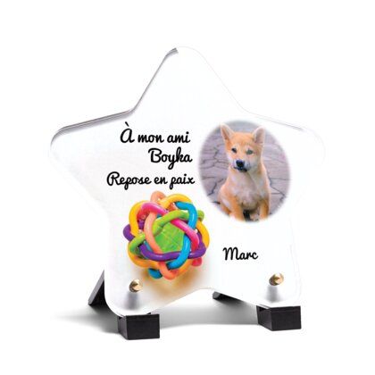 Plaque funéraire balle-pour-chiens-forme-etoile 14 plapuedacaes.com
