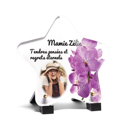 Plaque funéraire magnifiques-orchidees-forme-etoile 15 plapuedacaes.com

