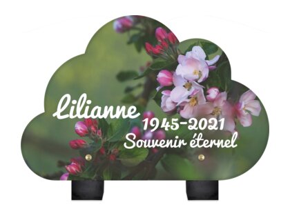 Plaque funéraire arbre-fleuri-forme-nuage 8 plapuedacaes.com
