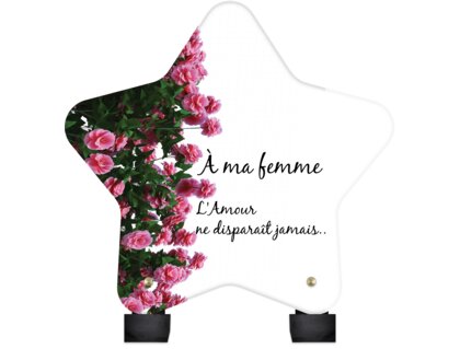 Plaque funéraire mur-de-roses-forme-etoile 15 plapuedacaes.com
