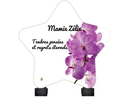 Plaque funéraire magnifiques-orchidees-forme-etoile 15 plapuedacaes.com
