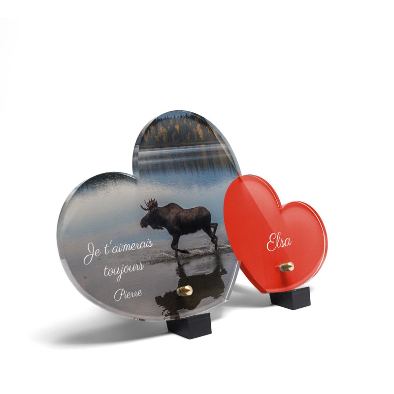 Plaque funéraire elan-et-son-reflet-forme-double-coeur 18 plapuedacaes.com
