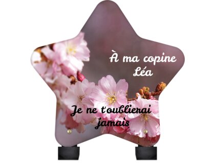 Plaque funéraire fleurs-de-cerisier-forme-etoile 29 plapuedacaes.com
