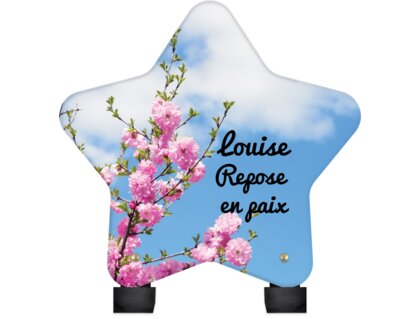 Plaque funéraire arbre-fleuri-forme-etoile 6 plapuedacaes.com
