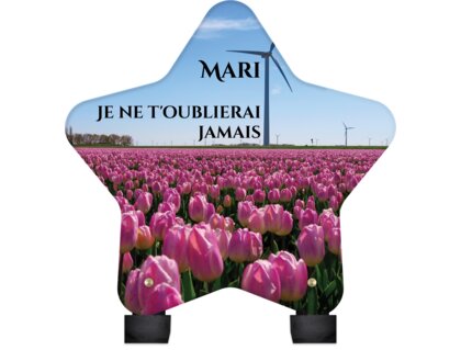 Plaque funéraire champ-de-tulipes-forme-etoile 26 plapuedacaes.com
