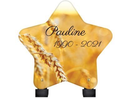Plaque funéraire epis-de-ble-forme-etoile 22 plapuedacaes.com
