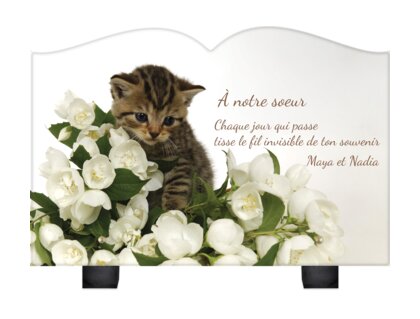 Plaque funéraire chaton-sur-fleurs-blanches-forme-livre 14 plapuedacaes.com
