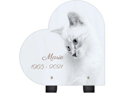 Plaque funéraire chat-blanc-forme-coeur 13 plapuedacaes.com
