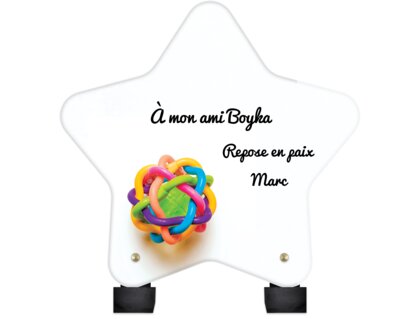 Plaque funéraire balle-pour-chiens-forme-etoile 14 plapuedacaes.com
