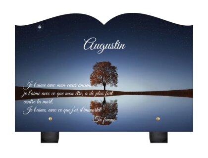 Plaque funéraire arbre-et-son-reflet-forme-livre 14 plapuedacaes.com
