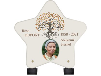 Plaque funéraire dessin-arbre-de-vie-forme-etoile 14 plapuedacaes.com
