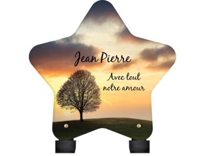 Plaque funéraire arbre-sous-ciel-orange-forme-etoile 16 plapuedacaes.com
