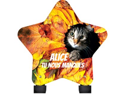 Plaque funéraire chaton-parmi-des-feuilles-forme-etoile 24 plapuedacaes.com
