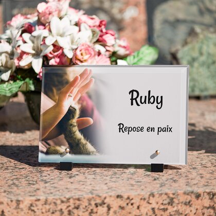 Plaque funéraire patte-de-chat 3 plapuedacaes.com
