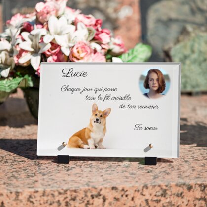 Plaque funéraire corgi-enjoue 17 plapuedacaes.com

