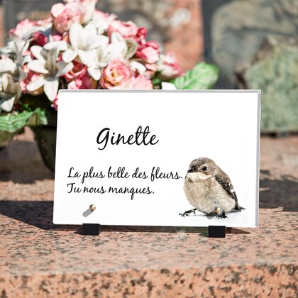 Plaque funéraire oiseau-blanc 22 plapuedacaes.com
