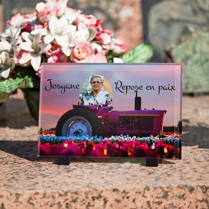 Plaque funéraire tracteur-rose 10 plapuedacaes.com
