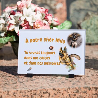Plaque funéraire plaque-funeraire-berger-allemand 11 plapuedacaes.com
