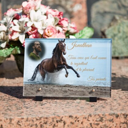 Plaque funéraire cheval-au-bord-de-lac 24 plapuedacaes.com
