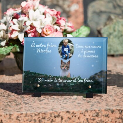 Plaque funéraire chat-en-pleine-nuit 1 plapuedacaes.com
