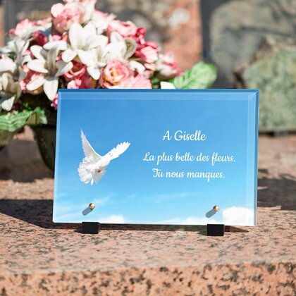 Plaque funéraire colombe-ciel-bleu 24 plapuedacaes.com
