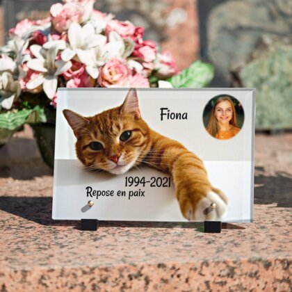 Plaque funéraire chat-orange 24 plapuedacaes.com
