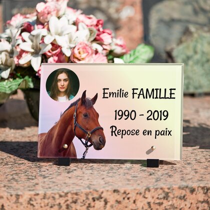 Plaque funéraire tete-de-cheval 21 plapuedacaes.com
