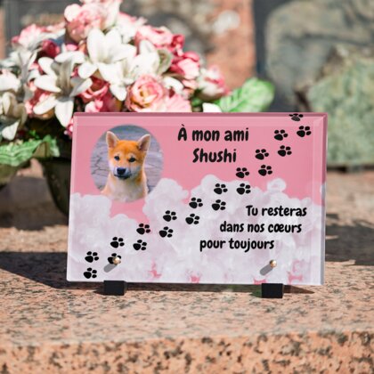 Plaque funéraire empreinte-chien-pastel 7 plapuedacaes.com
