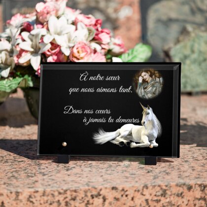 Plaque funéraire licorne-allonge 20 plapuedacaes.com
