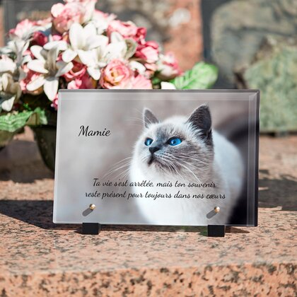 Plaque funéraire chat-majestueux 1 plapuedacaes.com

