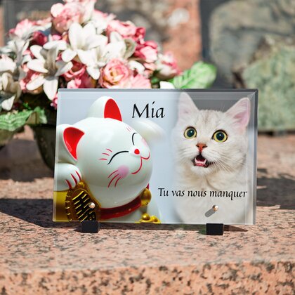 Plaque funéraire chat-de-la-chance 25 plapuedacaes.com
