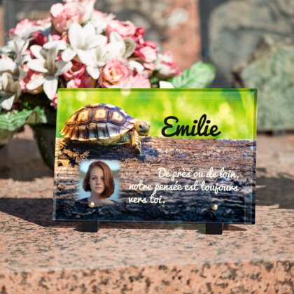 Plaque funéraire plaque-funeraire-tortue 30 plapuedacaes.com
