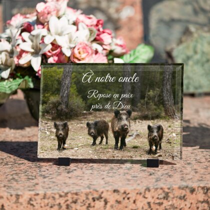 Plaque funéraire plaque-funeraire-chasseur-sanglier 25 plapuedacaes.com
