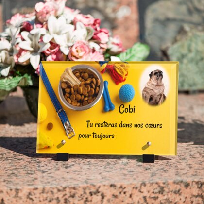 Plaque funéraire accessoires-pour-chiens 1 plapuedacaes.com
