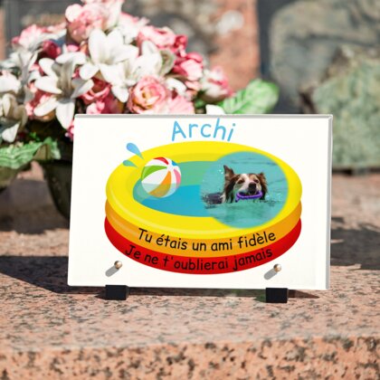 Plaque funéraire piscine-gonflable-pour-chiens 25 plapuedacaes.com
