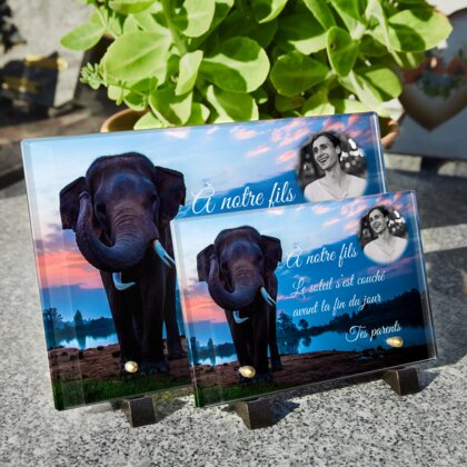 Plaque funéraire plaque-funeraire-elephant 18 plapuedacaes.com
