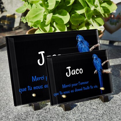 Plaque funéraire perroquet-bleu 7 plapuedacaes.com
