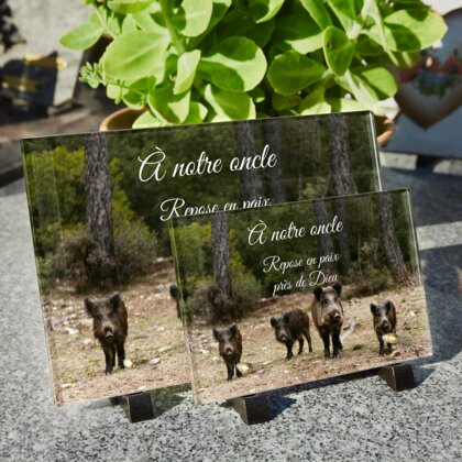 Plaque funéraire plaque-funeraire-chasseur-sanglier 20 plapuedacaes.com
