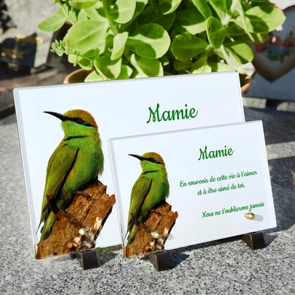 Plaque funéraire bel-oiseau-vert 1 plapuedacaes.com

