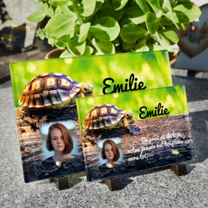 Plaque funéraire plaque-funeraire-tortue 19 plapuedacaes.com
