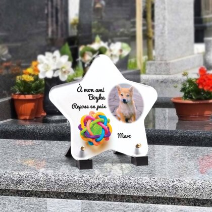 Plaque funéraire balle-pour-chiens-forme-etoile 21 plapuedacaes.com
