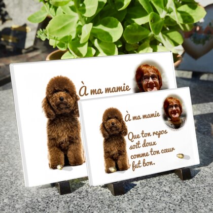 Plaque funéraire plaque-funeraire-caniche 4 plapuedacaes.com
