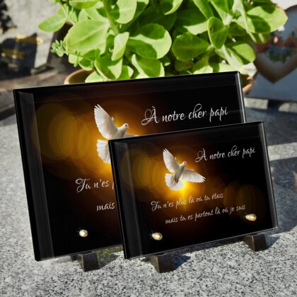 Plaque funéraire colombe-dans-ciel-noir 6 plapuedacaes.com
