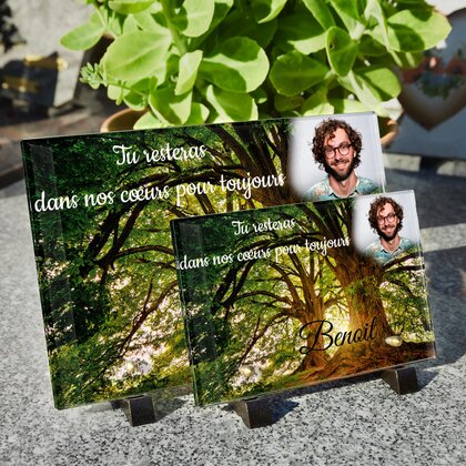 Plaque funéraire grand-arbres 13 plapuedacaes.com
