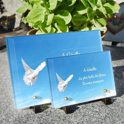 Plaque funéraire colombe-ciel-bleu 3 plapuedacaes.com
